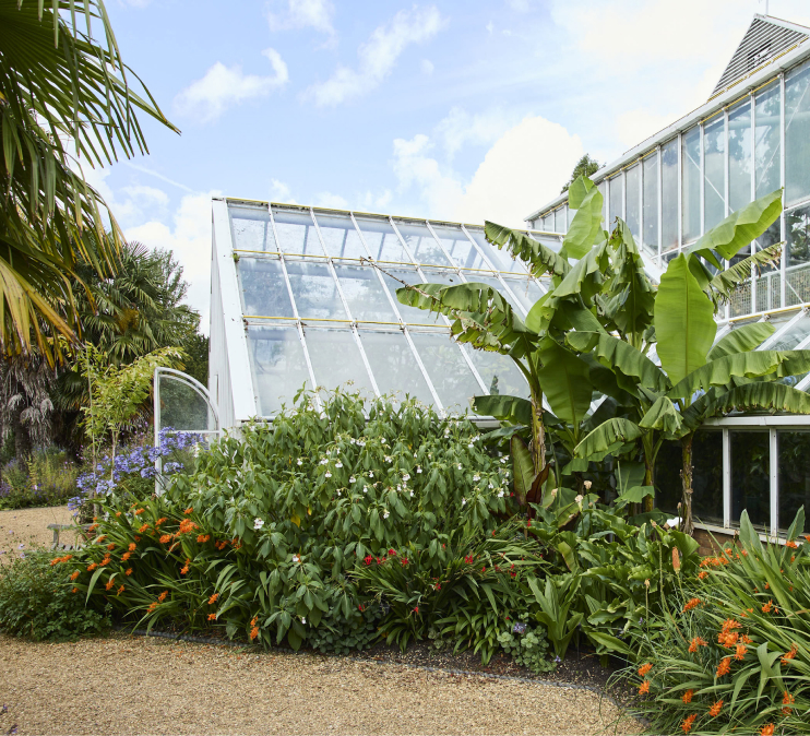 Glasshouses at Cambridge University Botanic Garden